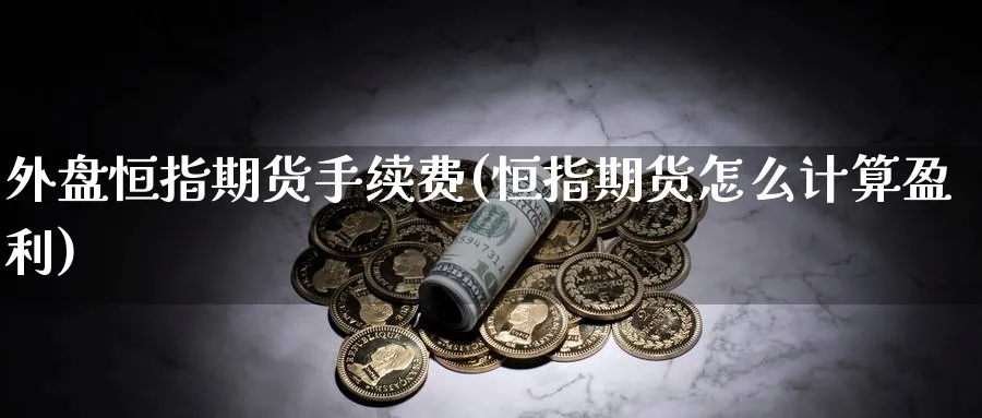 外盘恒指期货手续费(恒指期货怎么计算盈利)_https://www.aerae.cn_农产品期货_第1张