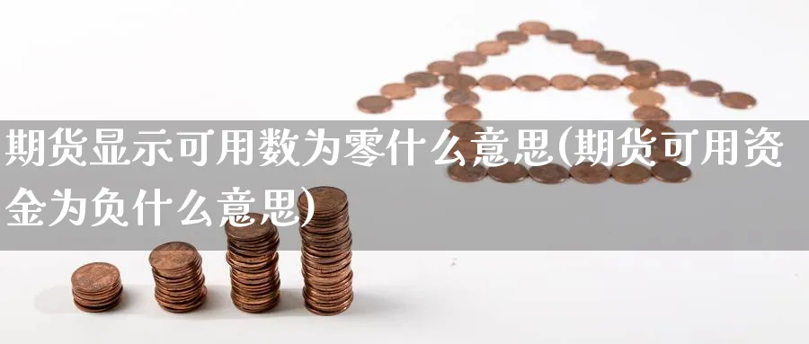 期货显示可用数为零什么意思(期货可用资金为负什么意思)_https://www.aerae.cn_原油期货_第1张