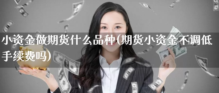 小资金做期货什么品种(期货小资金不调低手续费吗)_https://www.aerae.cn_黄金期货_第1张