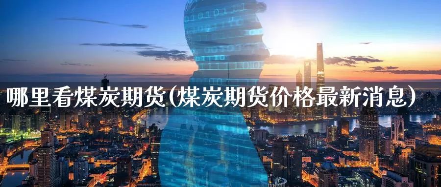 哪里看煤炭期货(煤炭期货价格最新消息)_https://www.aerae.cn_原油期货_第1张