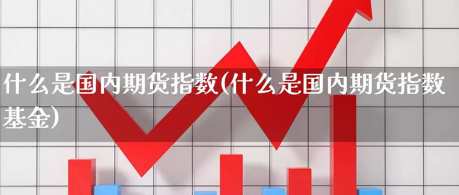 什么是国内期货指数(什么是国内期货指数基金)_https://www.aerae.cn_股指期货_第1张