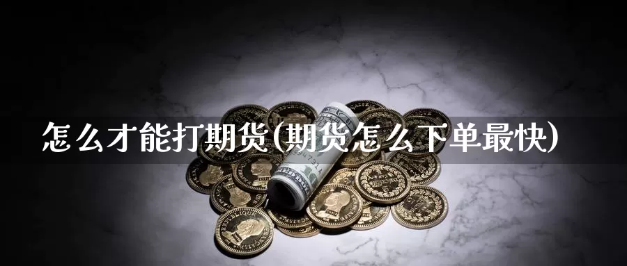 怎么才能打期货(期货怎么下单最快)_https://www.aerae.cn_原油期货_第1张