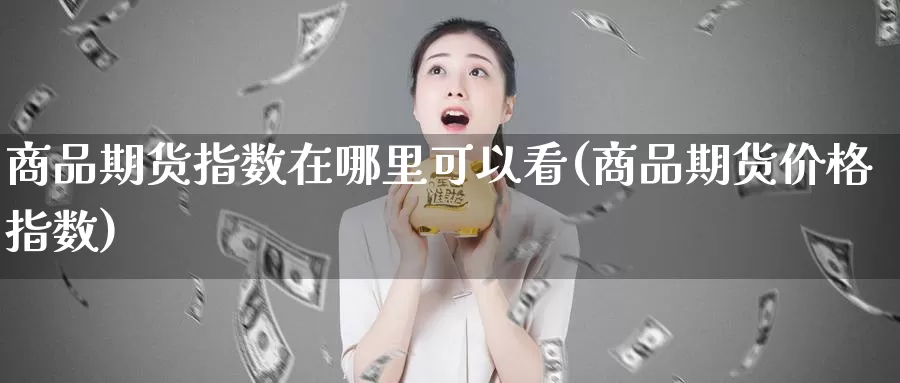 商品期货指数在哪里可以看(商品期货价格指数)_https://www.aerae.cn_股指期货_第1张