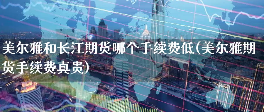 美尔雅和长江期货哪个手续费低(美尔雅期货手续费真贵)_https://www.aerae.cn_黄金期货_第1张