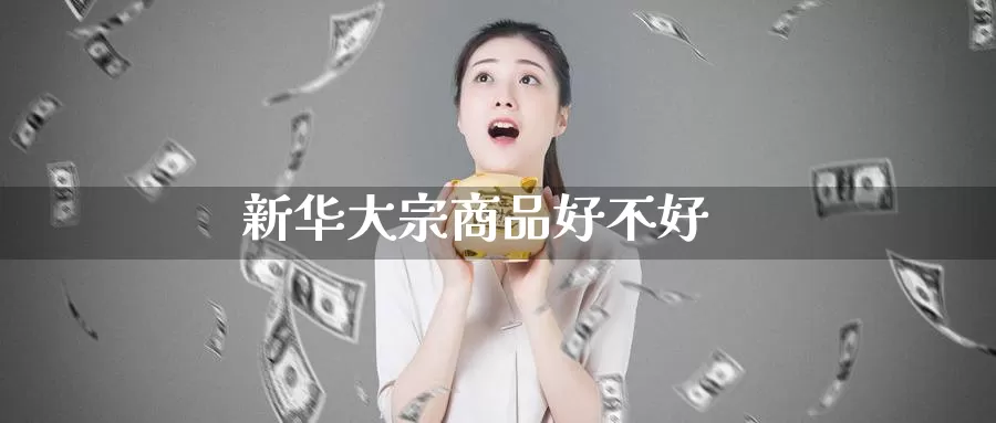 新华大宗商品好不好_https://www.aerae.cn_股指期货_第1张