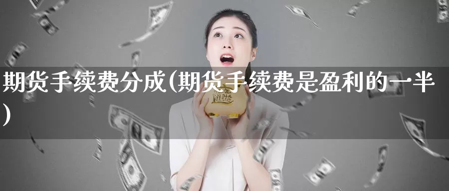 期货手续费分成(期货手续费是盈利的一半)_https://www.aerae.cn_股指期货_第1张