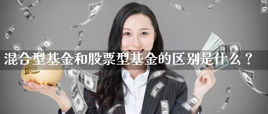 混合型基金和股票型基金的区别是什么？_https://www.aerae.cn_基金理财_第1张