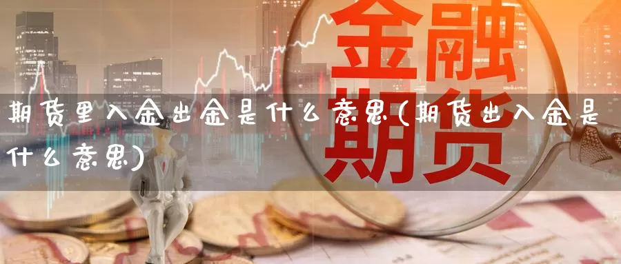 期货里入金出金是什么意思(期货出入金是什么意思)_https://www.aerae.cn_股指期货_第1张