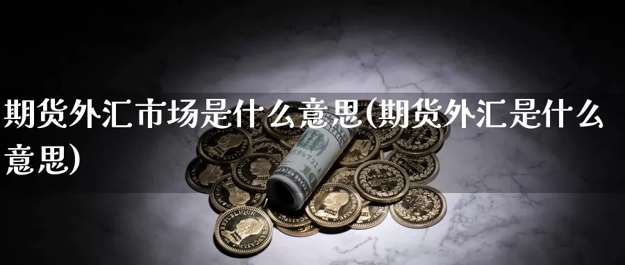 期货外汇市场是什么意思(期货外汇是什么意思)_https://www.aerae.cn_黄金期货_第1张