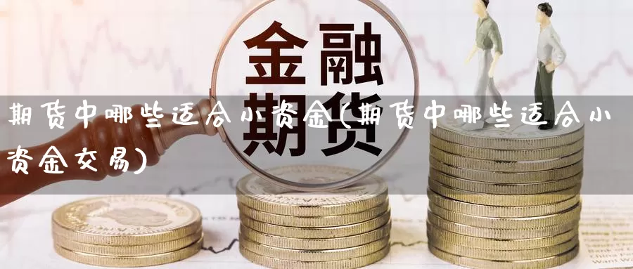 期货中哪些适合小资金(期货中哪些适合小资金交易)_https://www.aerae.cn_股票投资_第1张