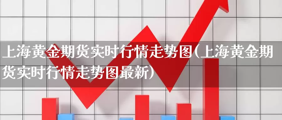 上海黄金期货实时行情走势图(上海黄金期货实时行情走势图最新)_https://www.aerae.cn_基金理财_第1张