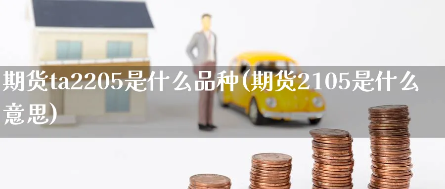 期货ta2205是什么品种(期货2105是什么意思)_https://www.aerae.cn_基金理财_第1张