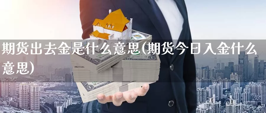 期货出去金是什么意思(期货今日入金什么意思)_https://www.aerae.cn_股票投资_第1张