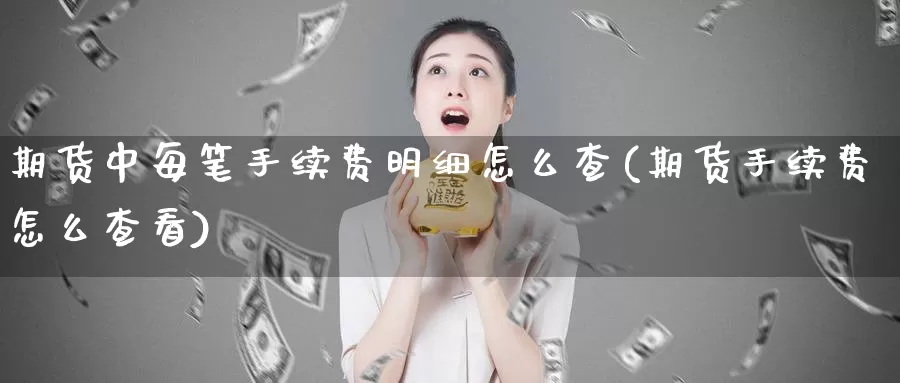 期货中每笔手续费明细怎么查(期货手续费怎么查看)_https://www.aerae.cn_黄金期货_第1张