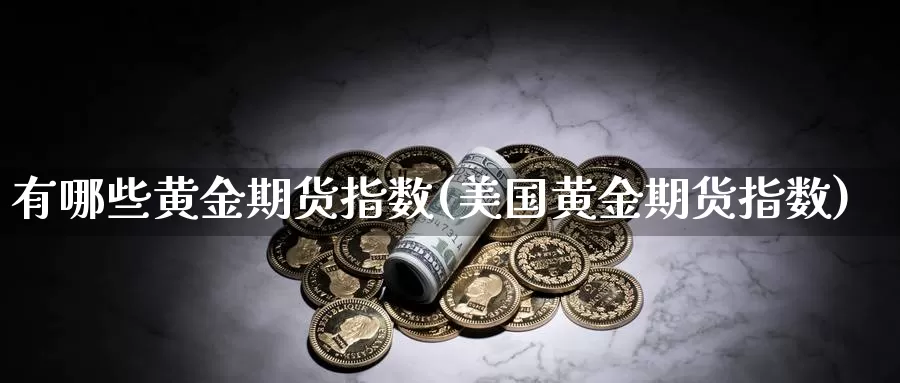 有哪些黄金期货指数(美国黄金期货指数)_https://www.aerae.cn_原油期货_第1张