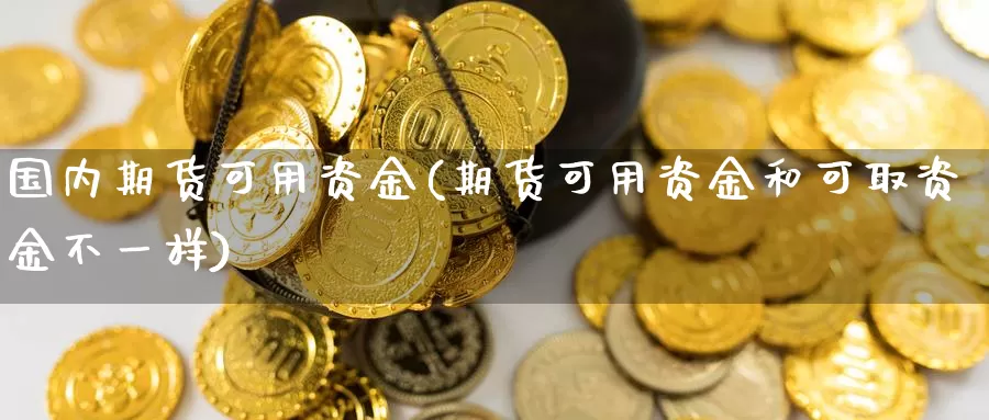 国内期货可用资金(期货可用资金和可取资金不一样)_https://www.aerae.cn_黄金期货_第1张