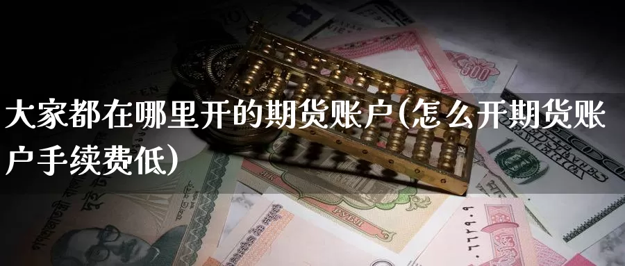 大家都在哪里开的期货账户(怎么开期货账户手续费低)_https://www.aerae.cn_原油期货_第1张