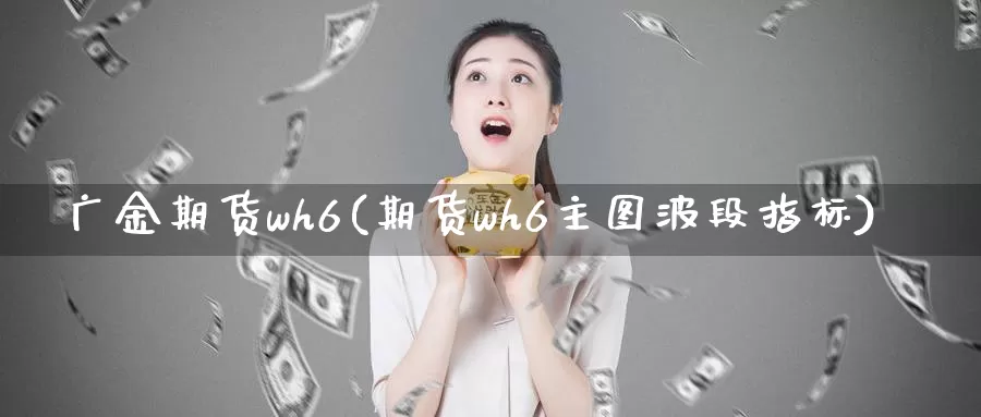 广金期货wh6(期货wh6主图波段指标)_https://www.aerae.cn_黄金期货_第1张