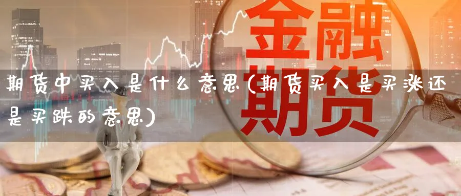 期货中买入是什么意思(期货买入是买涨还是买跌的意思)_https://www.aerae.cn_股票投资_第1张