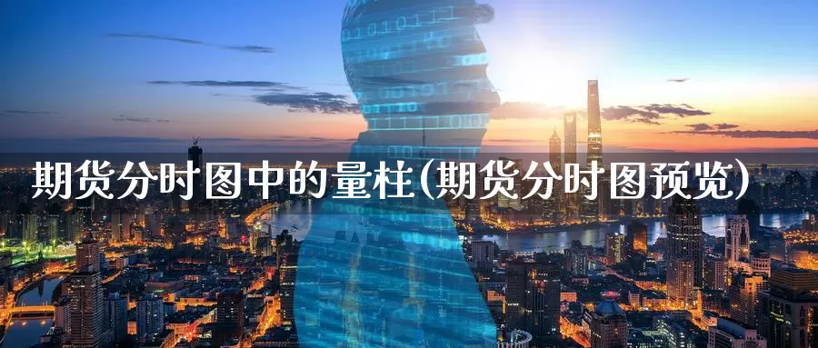 期货分时图中的量柱(期货分时图预览)_https://www.aerae.cn_原油期货_第1张