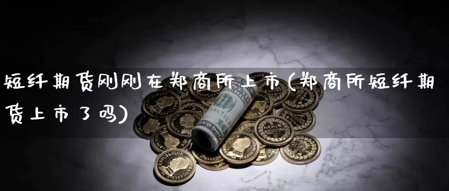 短纤期货刚刚在郑商所上市(郑商所短纤期货上市了吗)_https://www.aerae.cn_基金理财_第1张