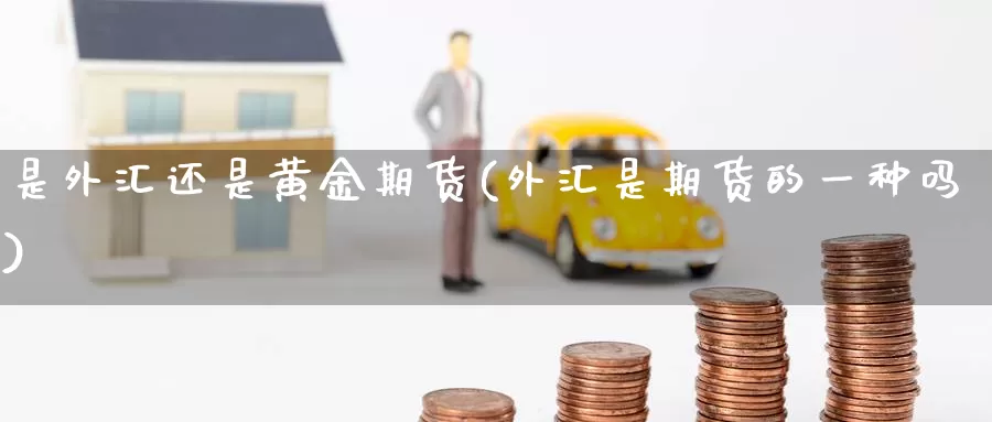 是外汇还是黄金期货(外汇是期货的一种吗)_https://www.aerae.cn_农产品期货_第1张