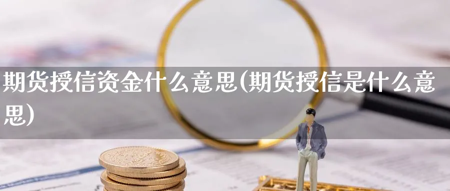 期货授信资金什么意思(期货授信是什么意思)_https://www.aerae.cn_原油期货_第1张